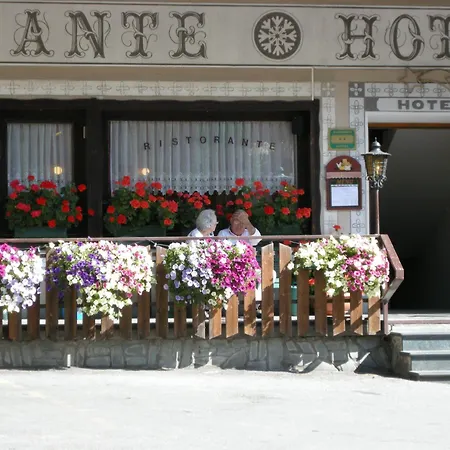 Federia Hotel 2*